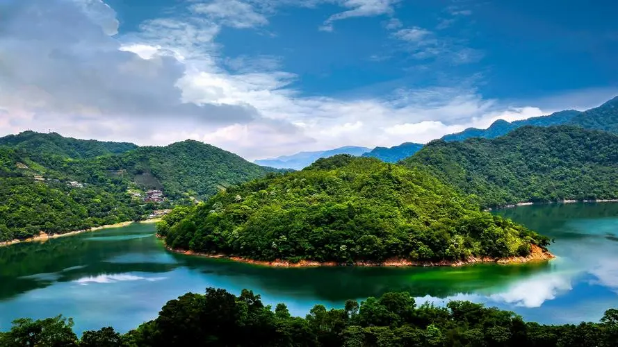 智能智能